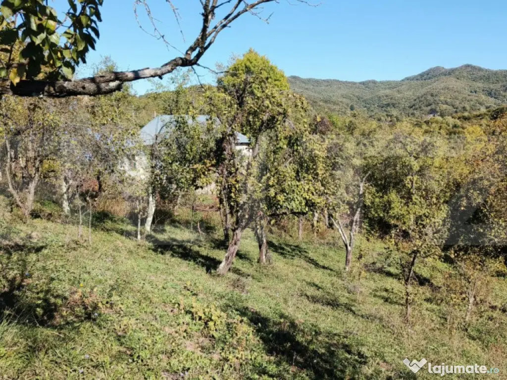 Teren cu priveliște superba , livadă și potențial căsu? 