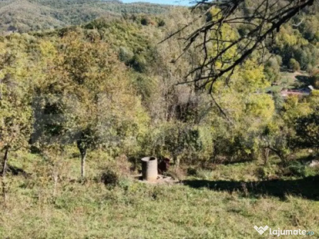 Teren cu priveliște superba , livadă și potențial căsu? 