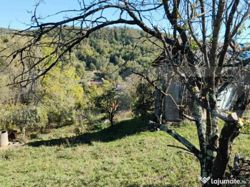 Teren cu priveliște superba , livadă și potențial căsu? 