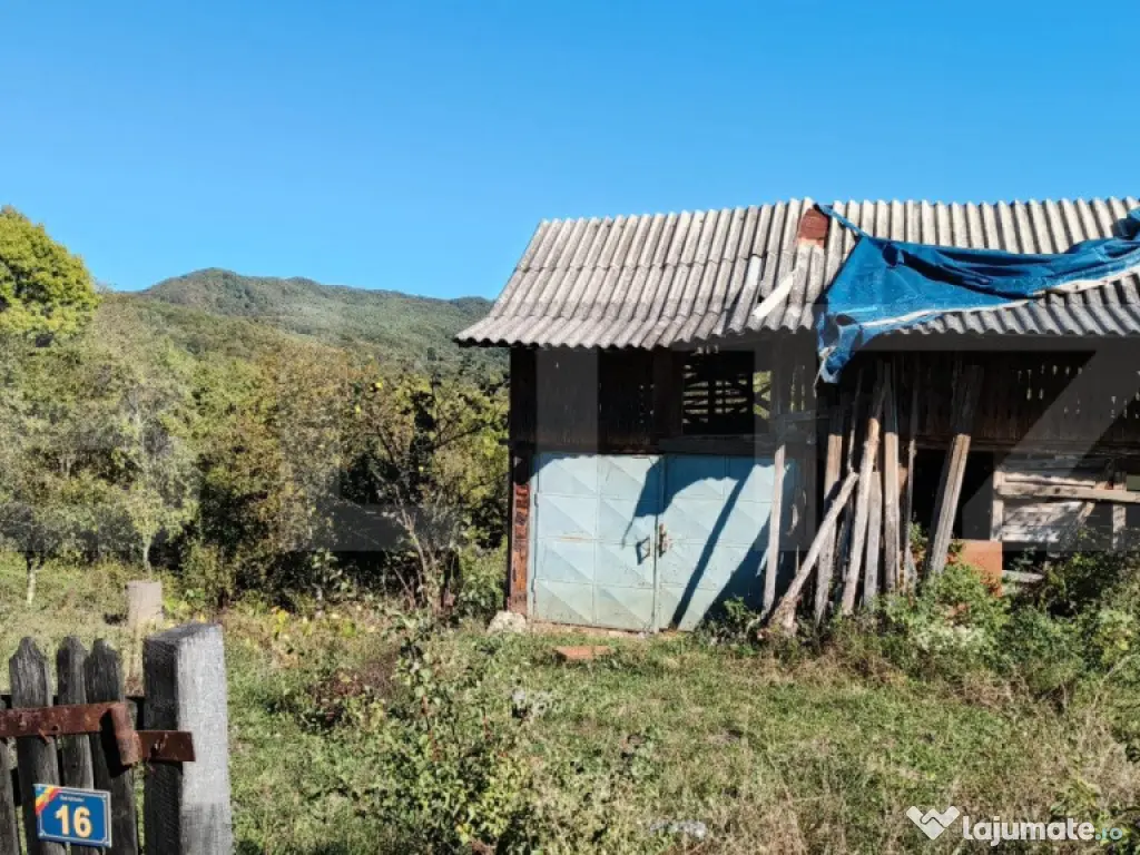 Teren cu priveliște superba , livadă și potențial căsu? 