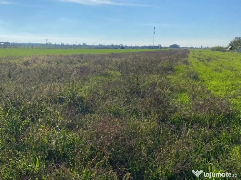 Teren extravilan - zona Bujac