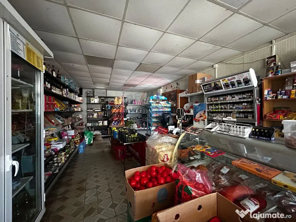 Casă / Vilă cu 3 camere de vânzare 