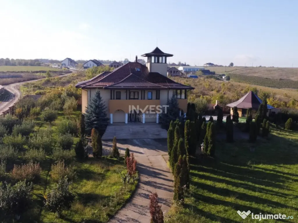 Proprietate Unică de Vânzare în Vișani, Iași – Reșed