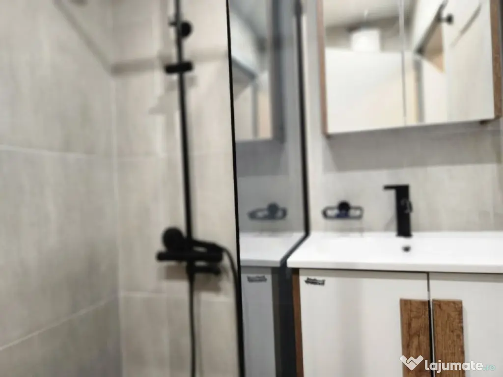 Garsoniera in zona Torontalului