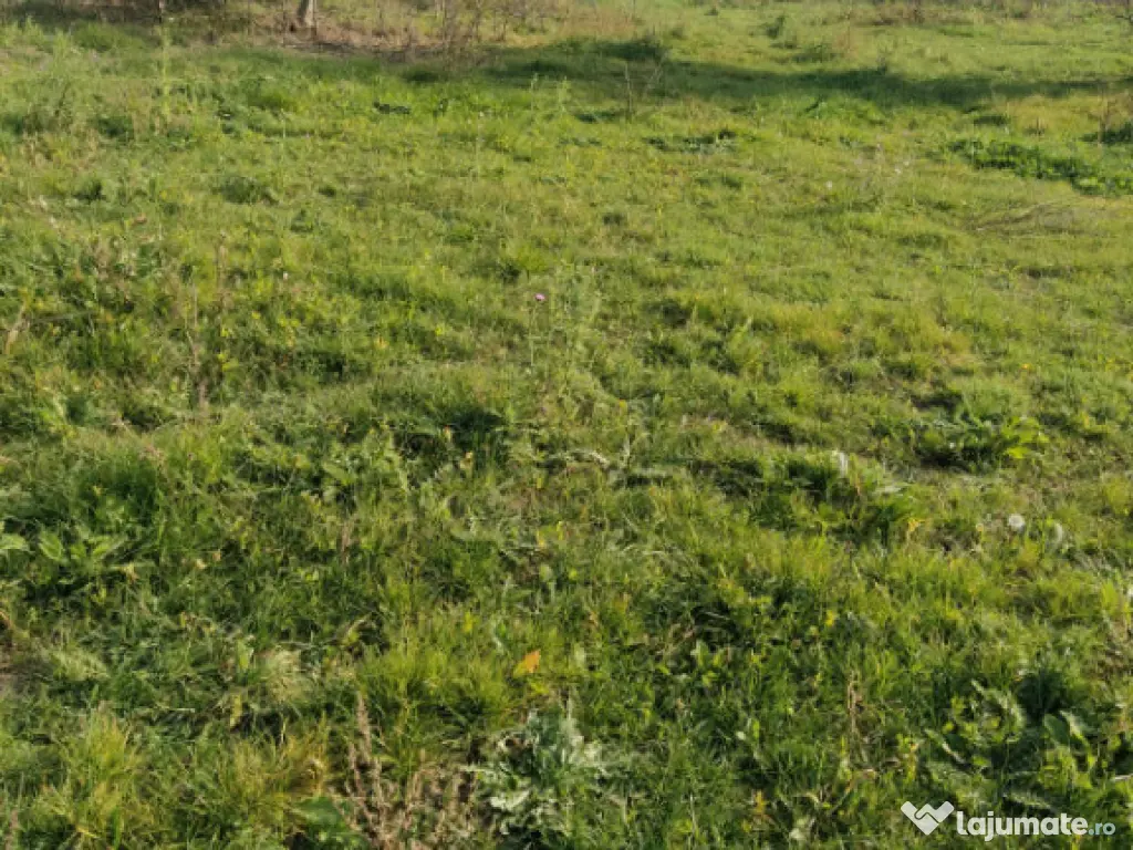 Nicolae Balcescu - Tulcea, teren cu deschidere 27 ml la drum 