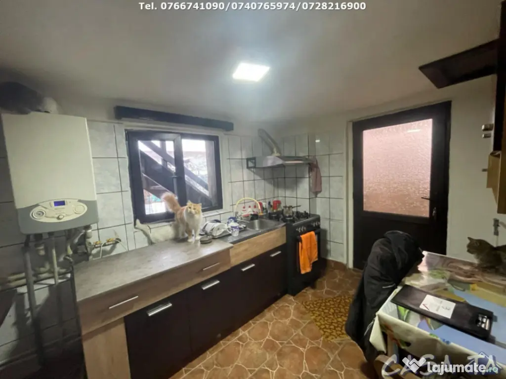 Casa P+M (6 Camere), Bumbesti Jiu 