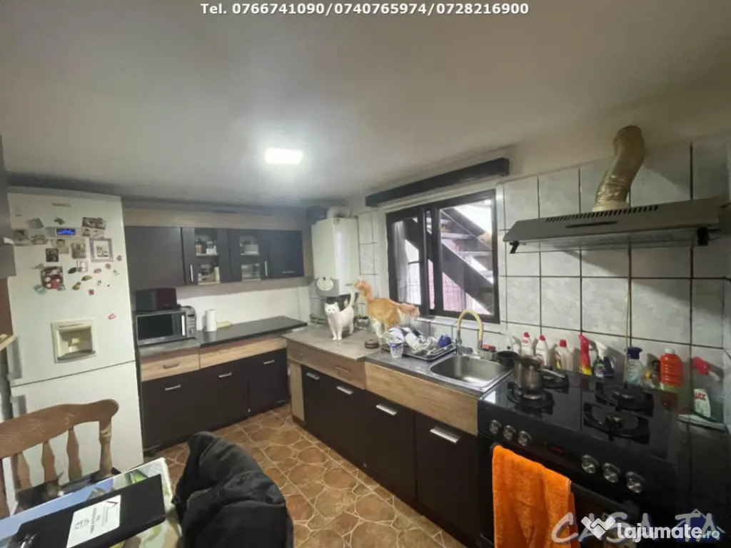 Casa P+M (6 Camere), Bumbesti Jiu 