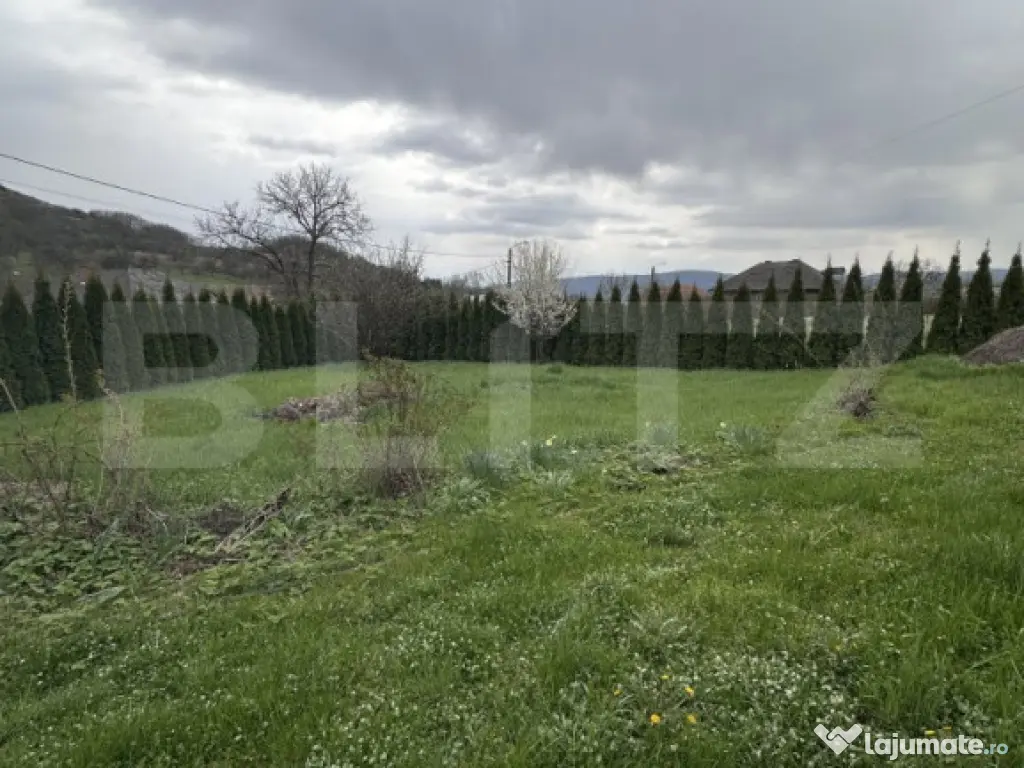 Casă de vânzare, zonă deosebită , teren generos,Săliș