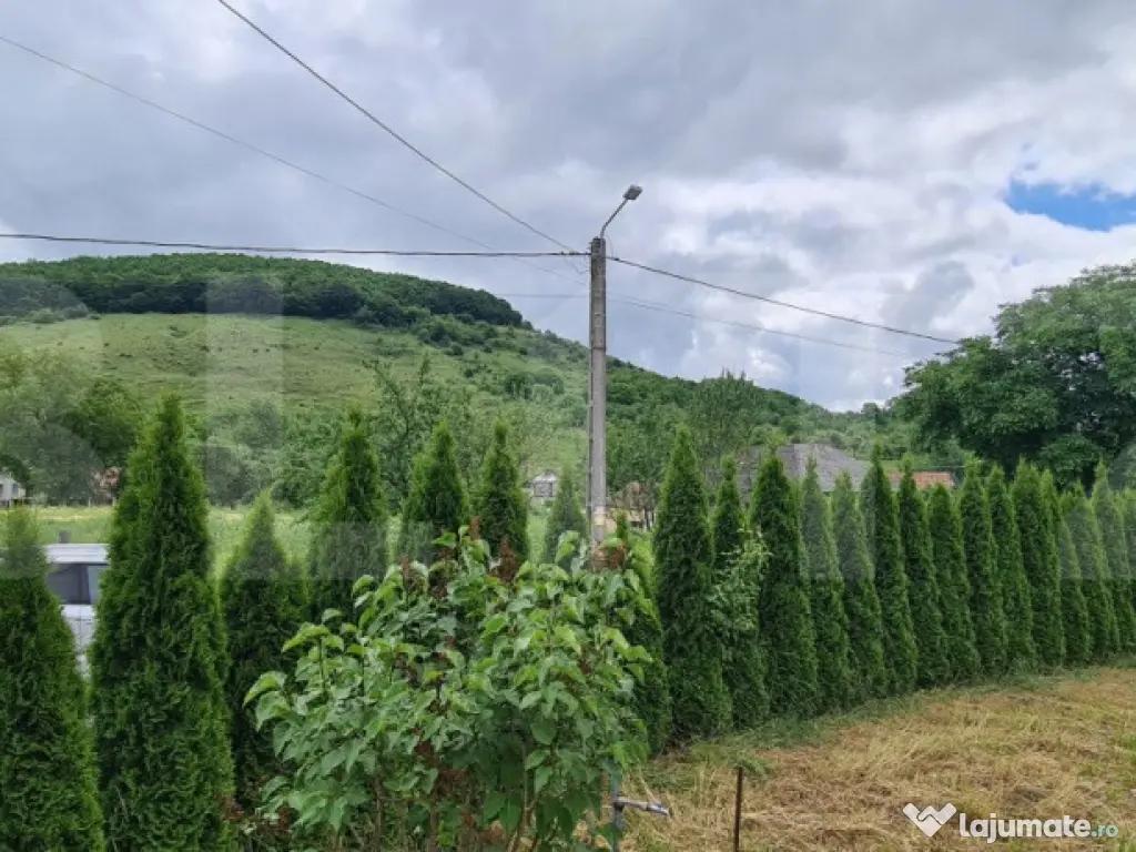 Casă de vânzare, zonă deosebită , teren generos,Săliș