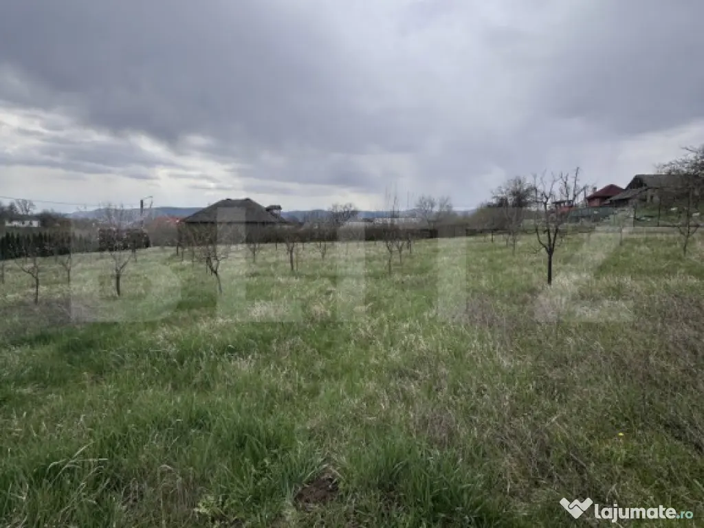 Casă de vânzare, zonă deosebită , teren generos,Săliș