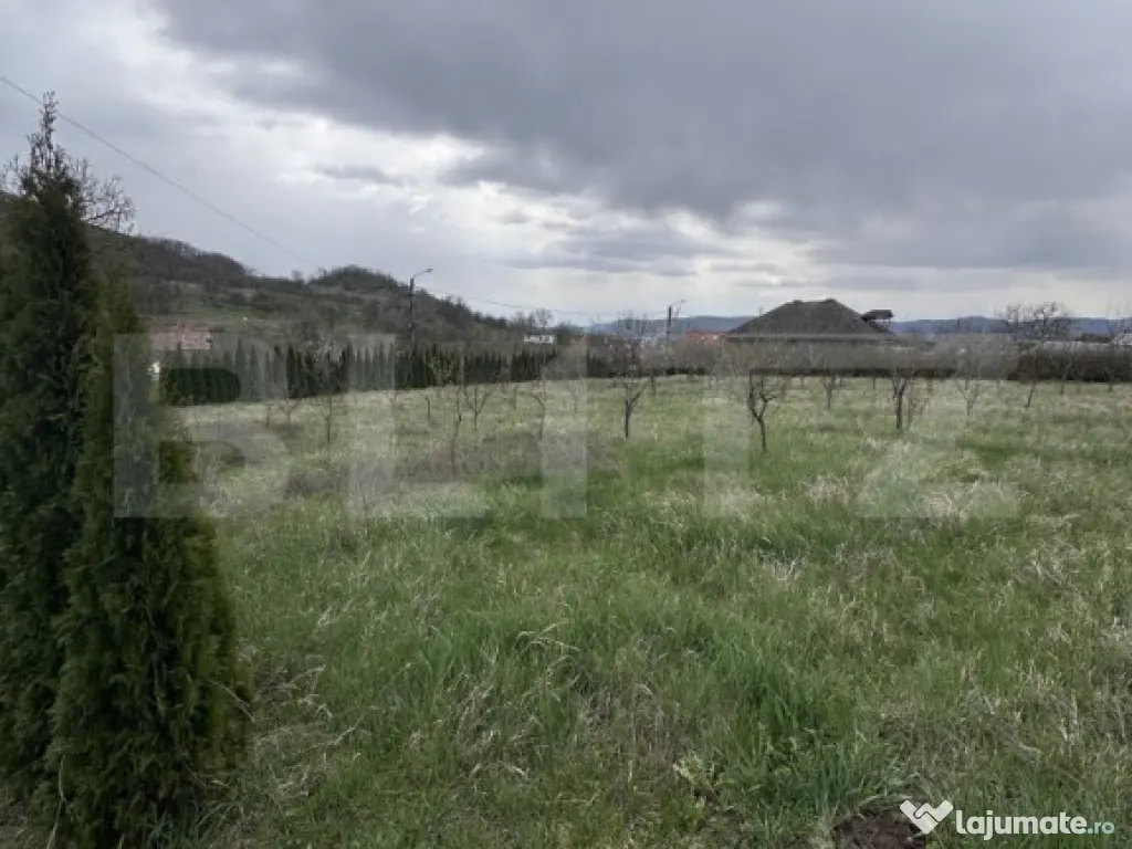 Casă de vânzare, zonă deosebită , teren generos,Săliș