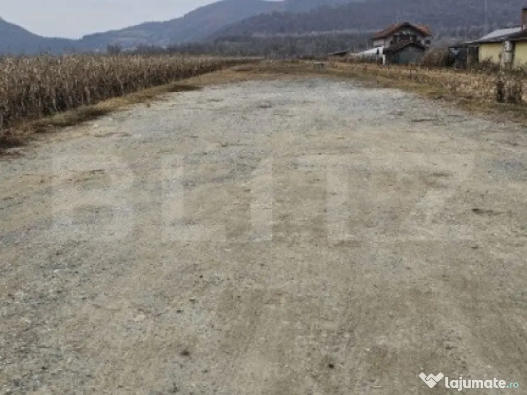 Oportunitate de Investiție de Top în Șoimuș - 2600 mp te 