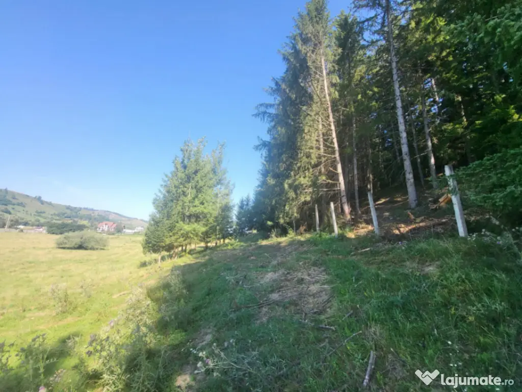 Teren, Ideal pentru Investitie Sau Dezvoltare 