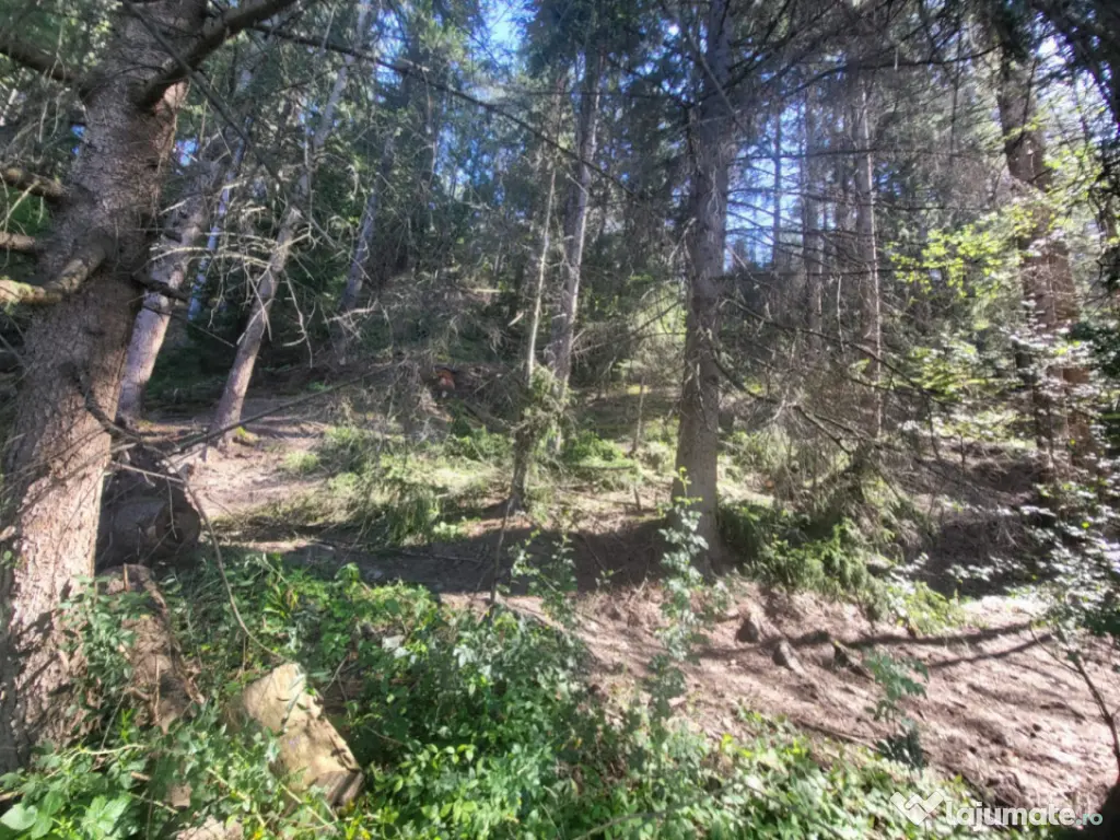 Teren, Ideal pentru Investitie Sau Dezvoltare 