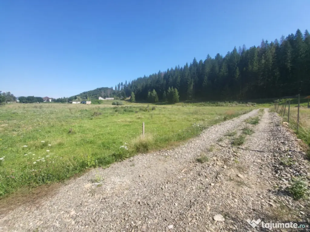 Teren, Ideal pentru Investitie Sau Dezvoltare 