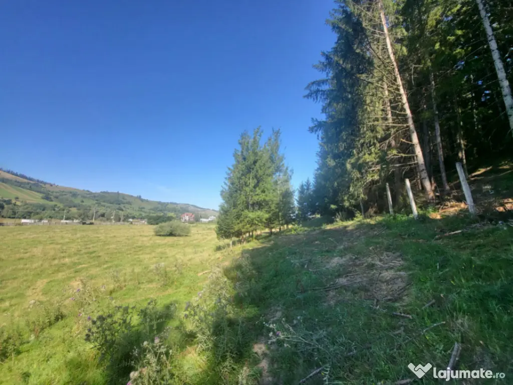 Teren, Ideal pentru Investitie Sau Dezvoltare 