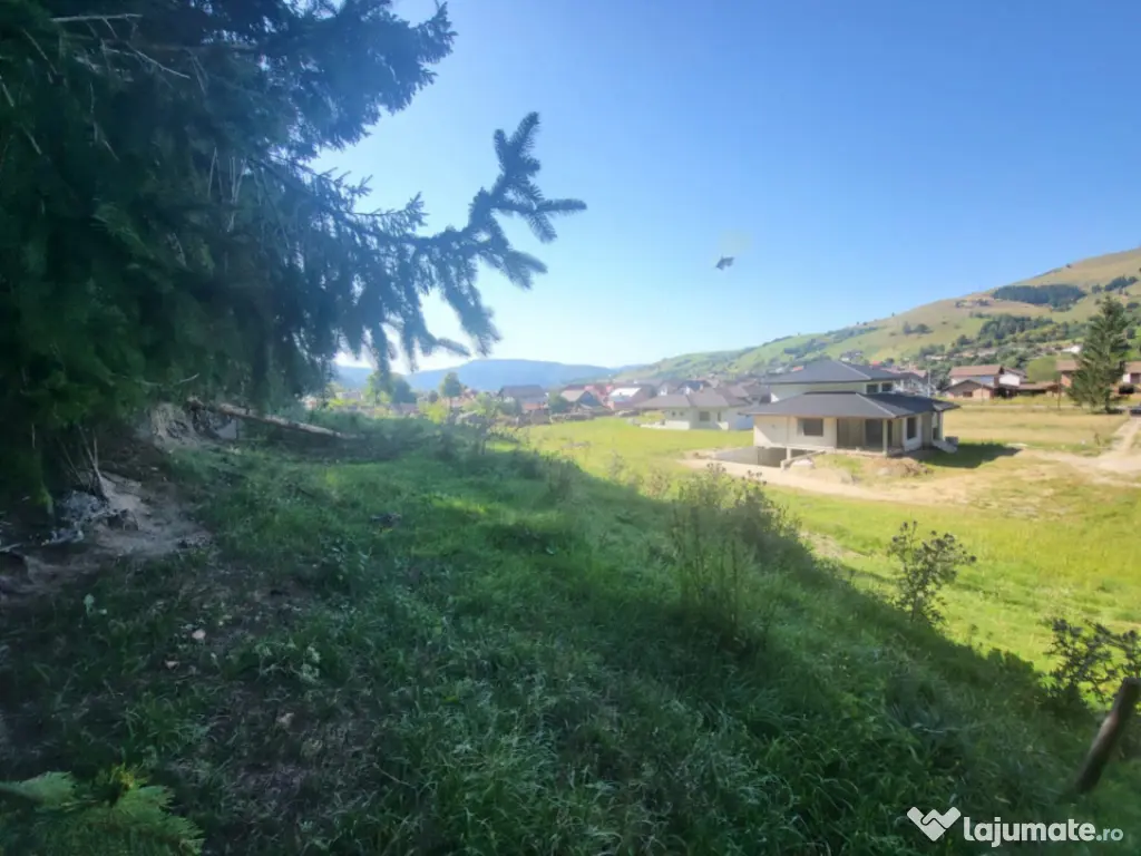 Teren, Ideal pentru Investitie Sau Dezvoltare 