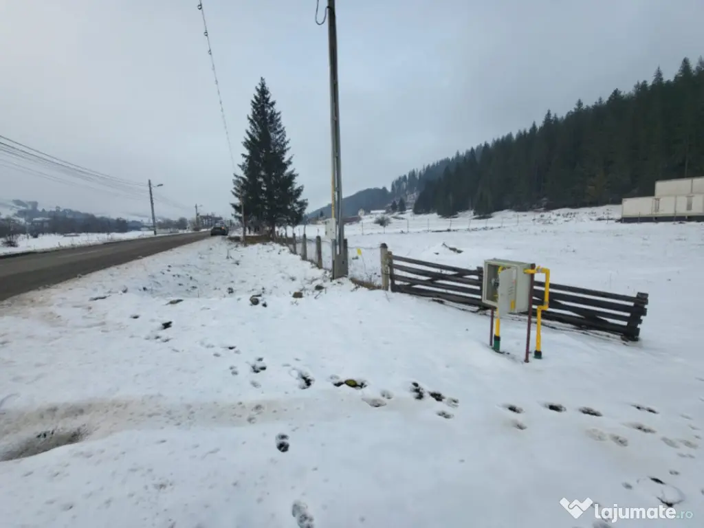 Teren, Ideal pentru Investitie Sau Dezvoltare 