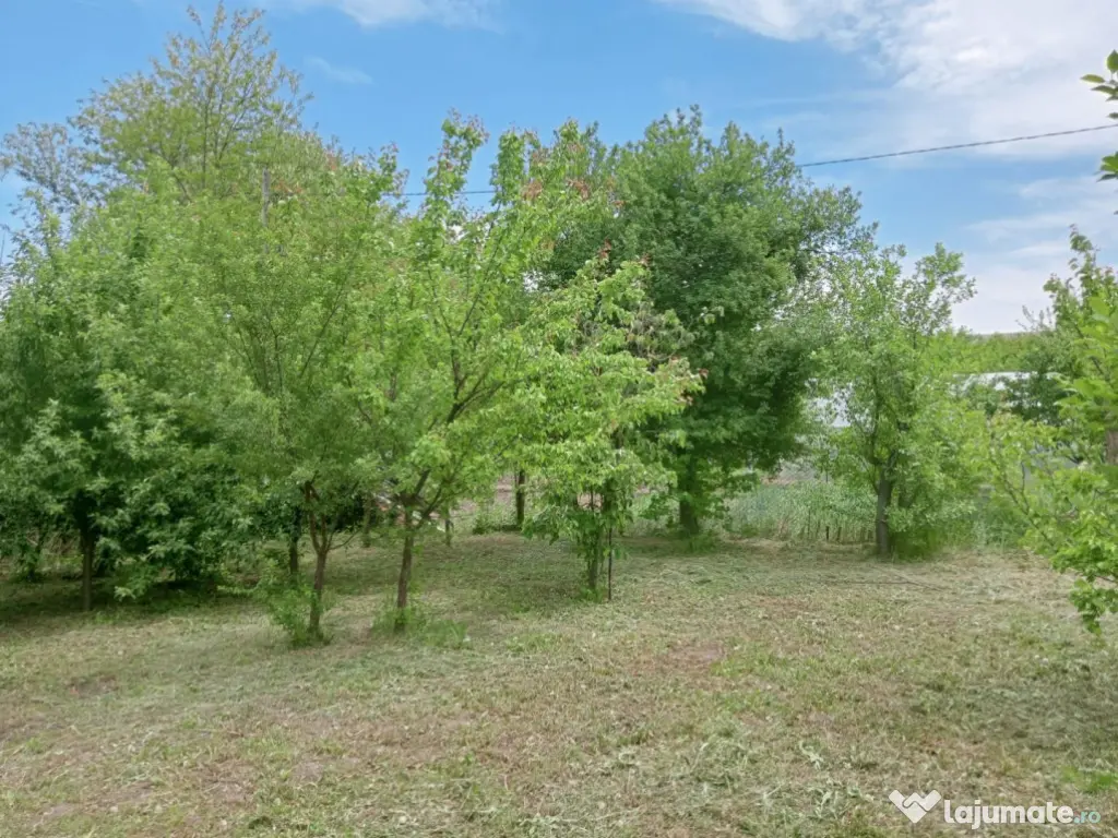 Casa Cujmir Mehedinti | Situata la strada | Teren 2038 mp|