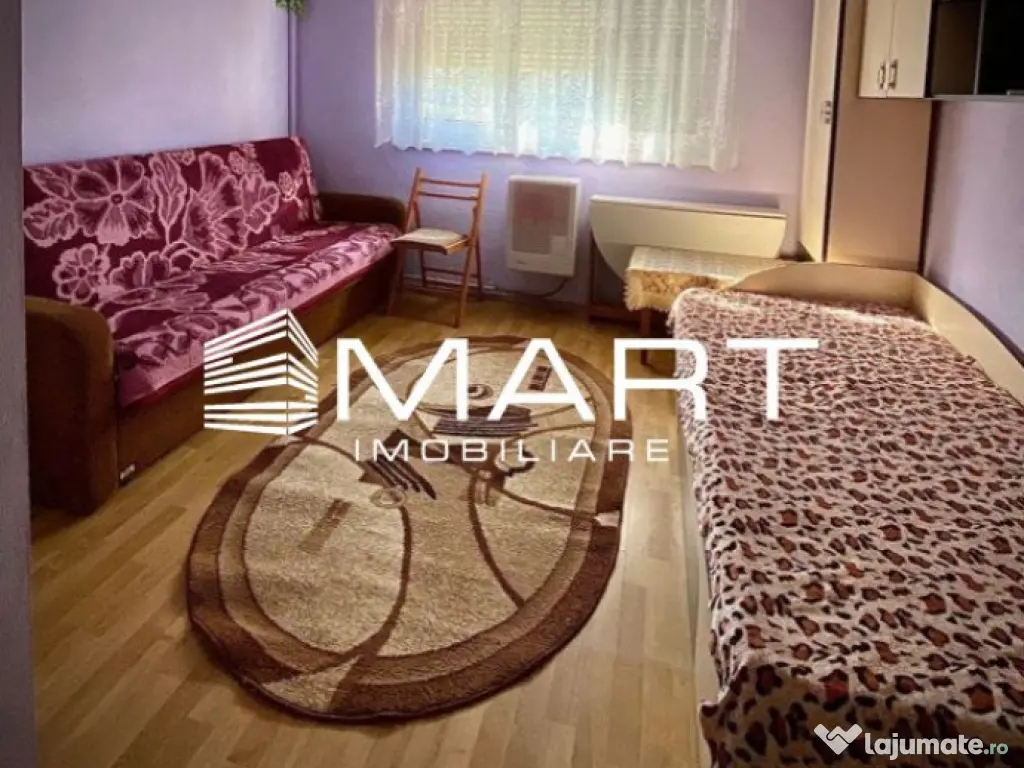 Garsoniera zona Terezian