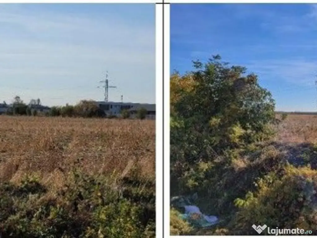 Teren intravilan 1 Decembrie, judetul Ilfov, ID: R2319723 