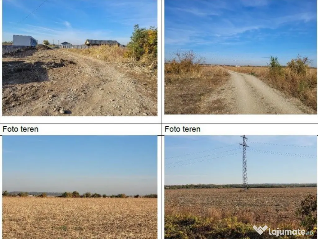 Teren intravilan 1 Decembrie, judetul Ilfov, ID: R2319723 