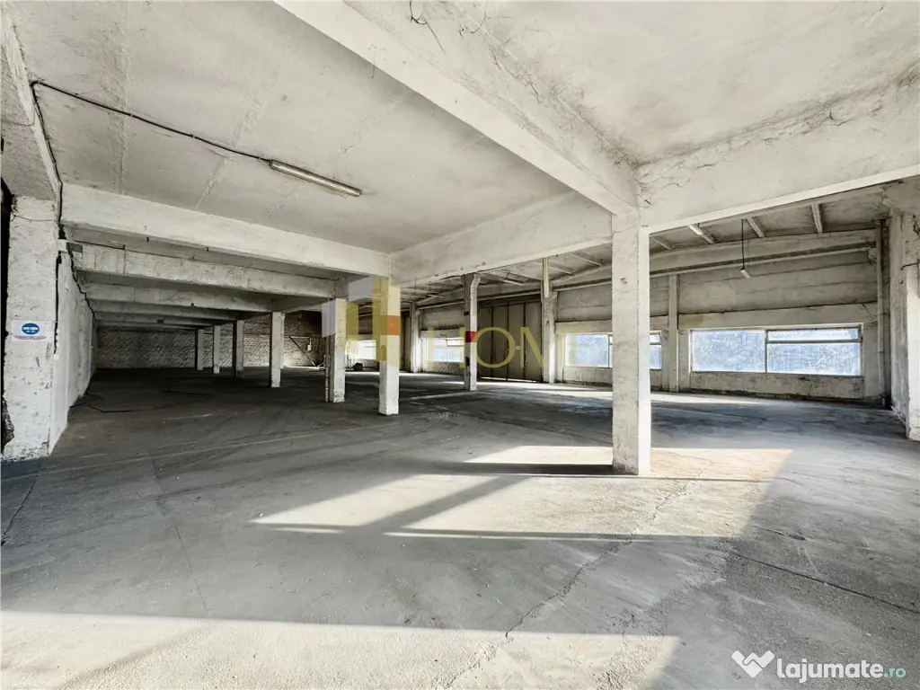 Spatiu industrial, birouri, diverse suprafete, Valenii de Mu 