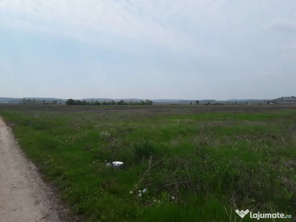 Teren extravilan, Cotofenii din Fata, jud Dolj -id 6954-0... 