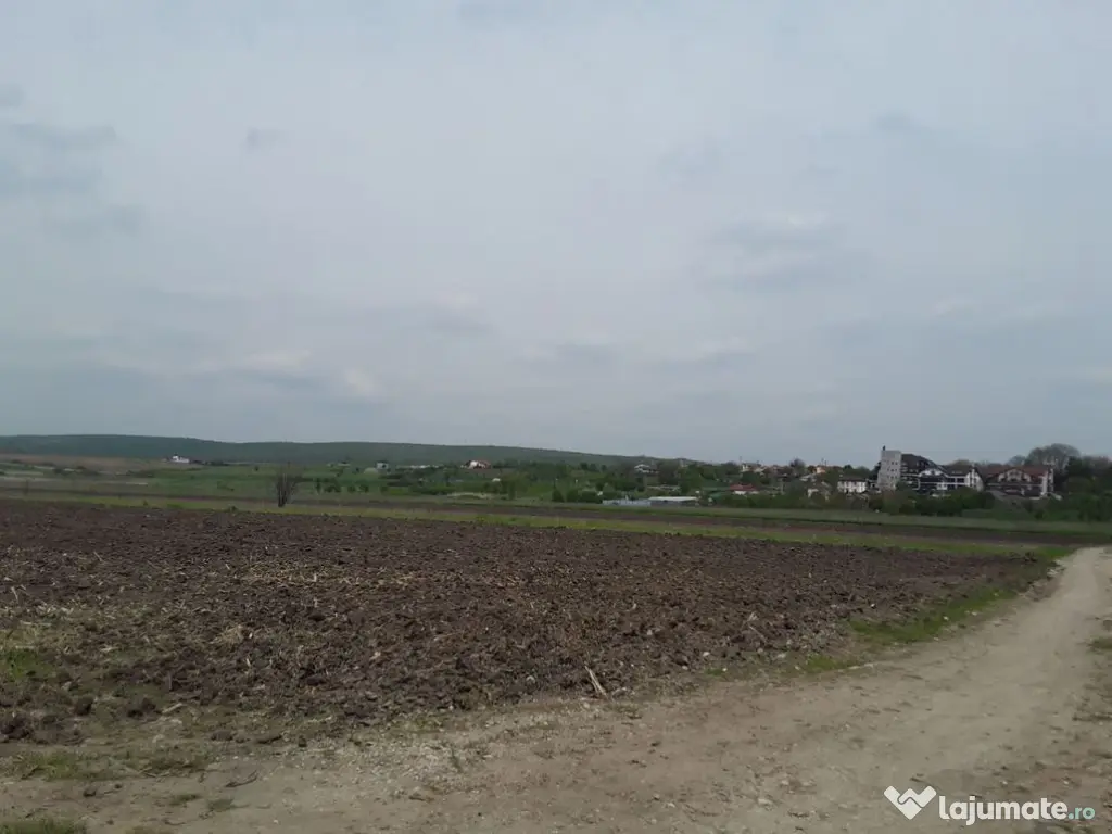 Teren extravilan, Cotofenii din Fata, jud Dolj -id 6954-0... 