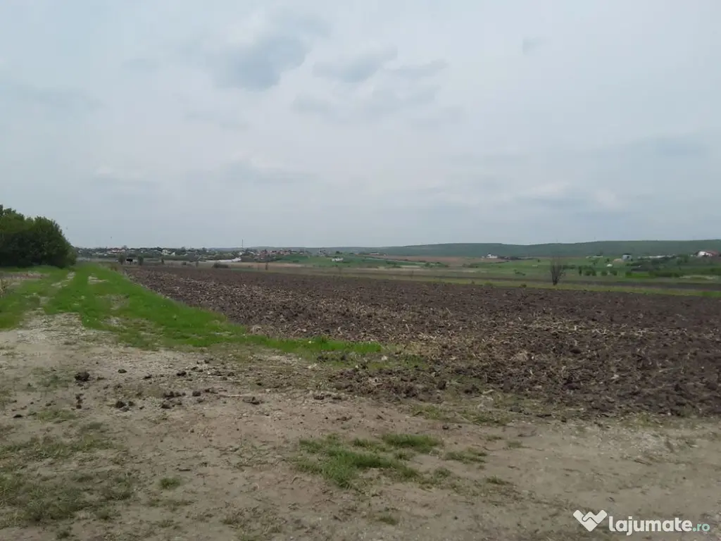 Teren extravilan, Cotofenii din Fata, jud Dolj -id 6954-0... 