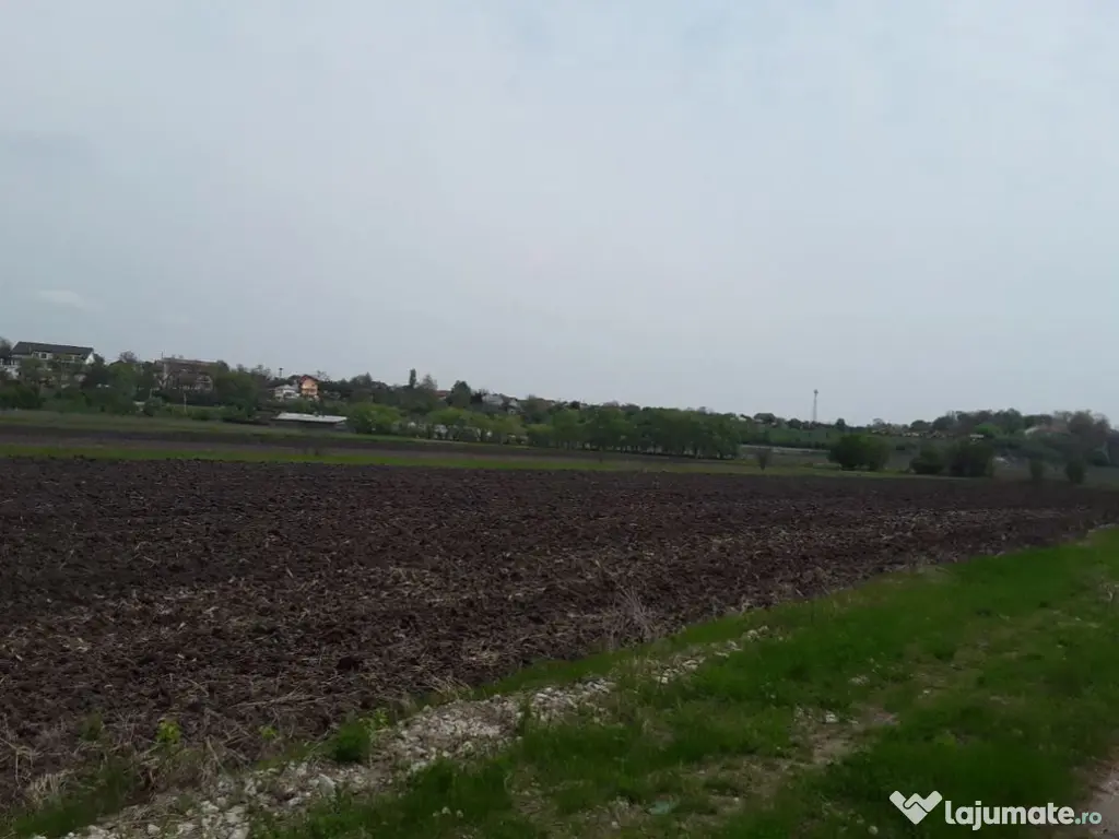 Teren extravilan, Cotofenii din Fata, jud Dolj -id 6954-0... 