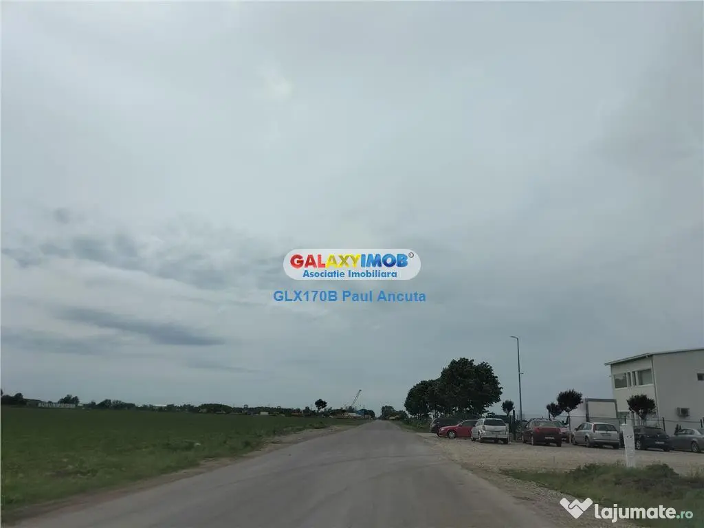 Teren Moara Vlasiei 65000 mp Industrial utilitati apropiere 