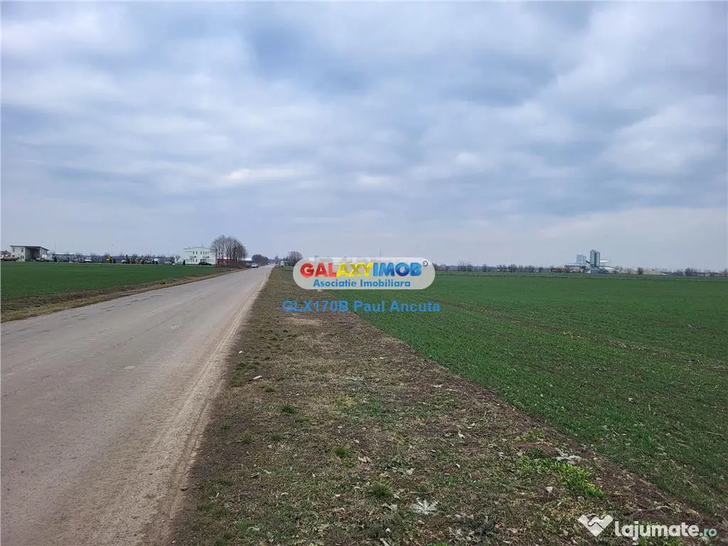 Teren Moara Vlasiei 65000 mp Industrial utilitati apropiere 