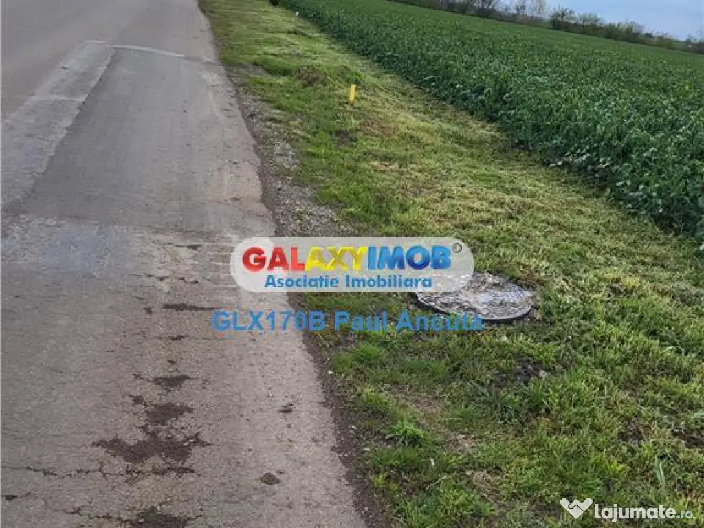 Teren Moara Vlasiei 65000 mp Industrial utilitati apropiere 