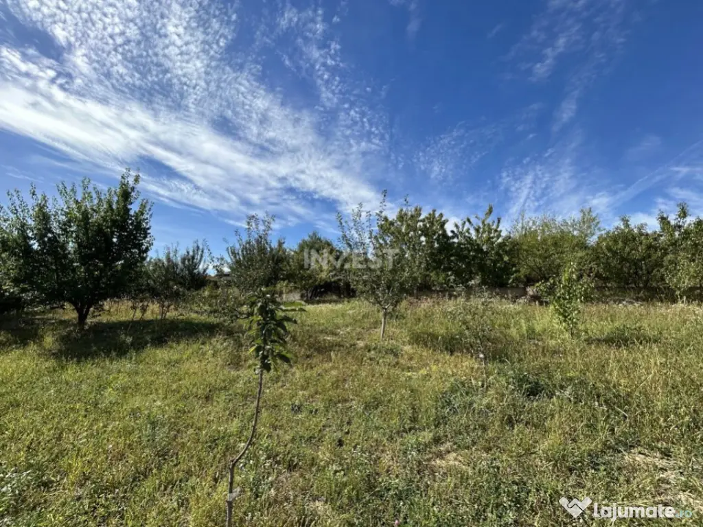 Casa de vanzare, parter 4 camere, garaj, 1424mp teren - Buci