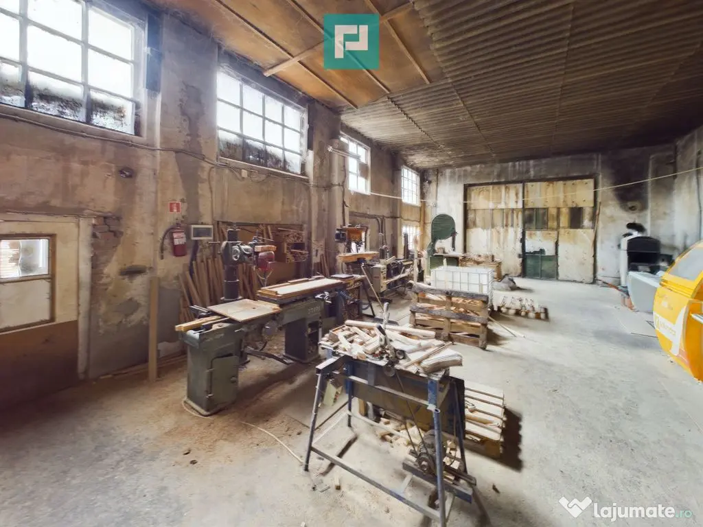 Fabrică de prelucrare a lemnului și palului 