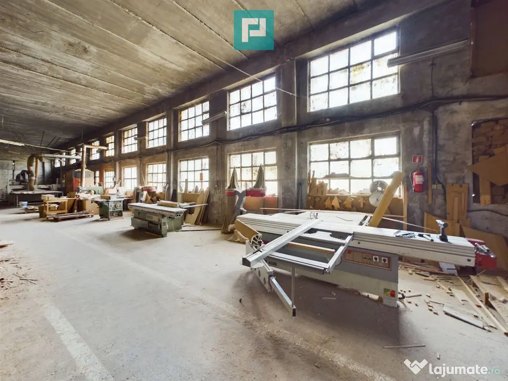 Fabrică de prelucrare a lemnului și palului 