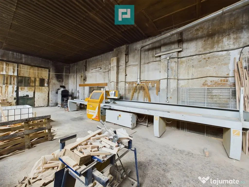 Fabrică de prelucrare a lemnului și palului 