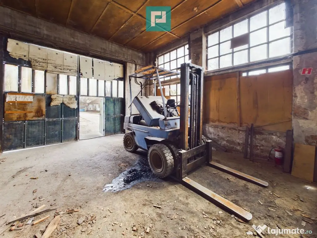 Fabrică de prelucrare a lemnului și palului 