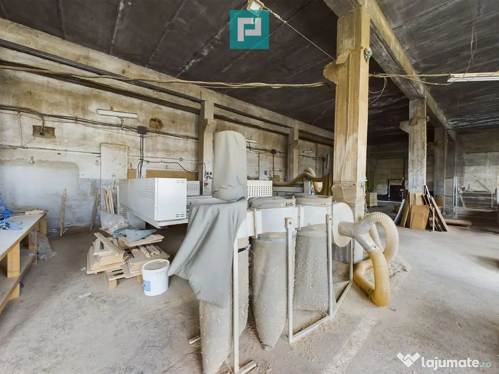 Fabrică de prelucrare a lemnului și palului 