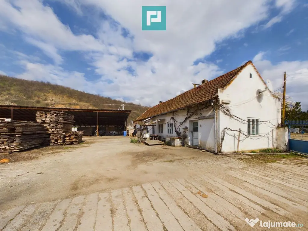 Fabrică de prelucrare a lemnului și palului 