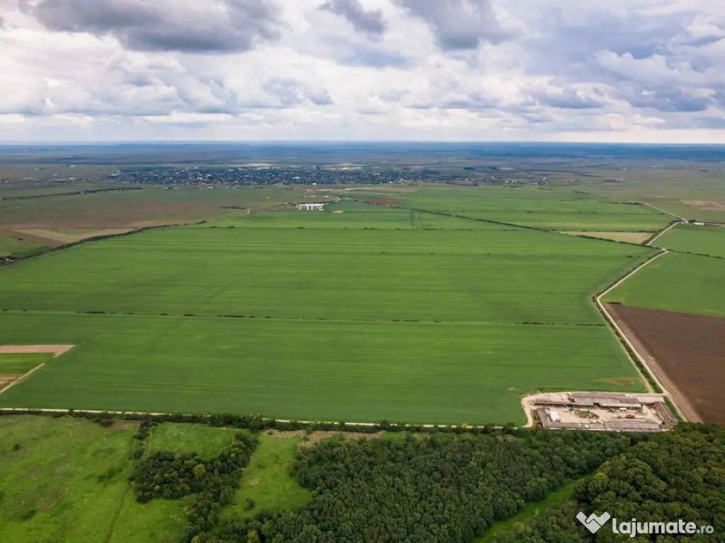 Teren arabil de 2912 hectare în Vaslui