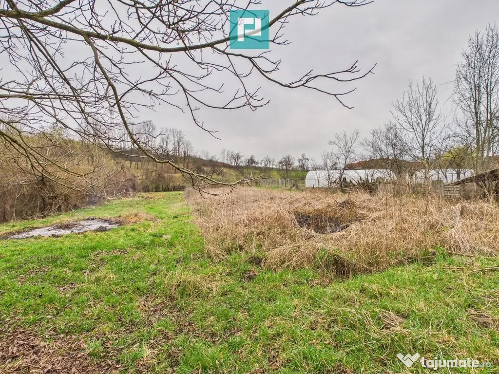 Casă la roșu în localitatea Almaș, Arad. 