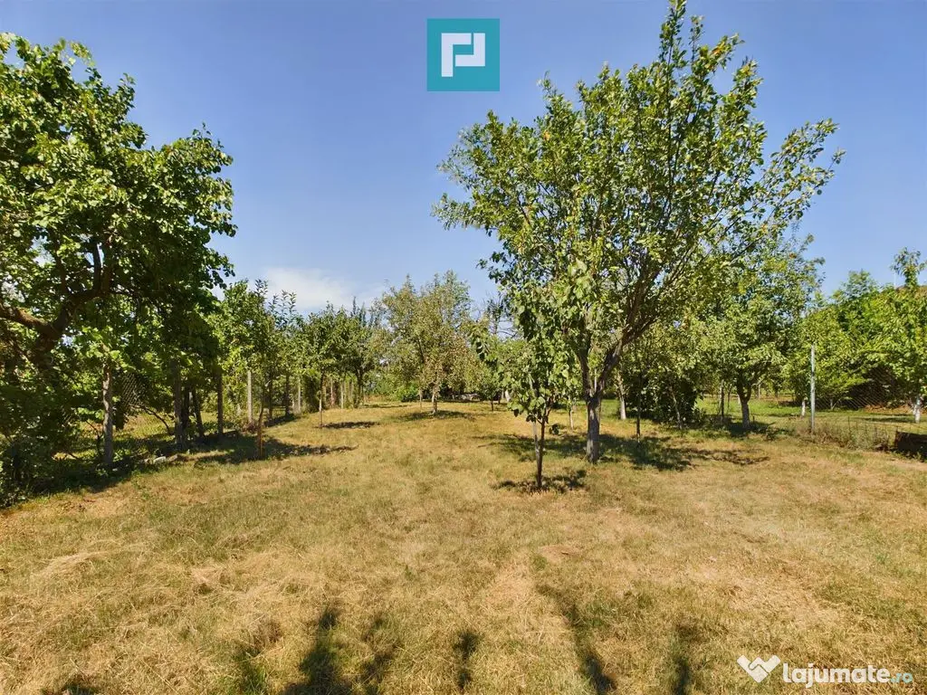 Casă stil conac pe drumul Cetății - Șiria