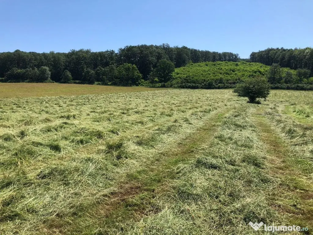 Teren arabil de 630 hectare în Galați