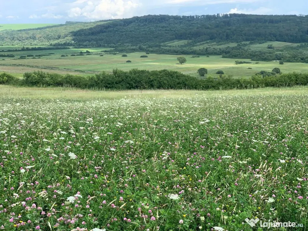 Teren arabil de 630 hectare în Galați