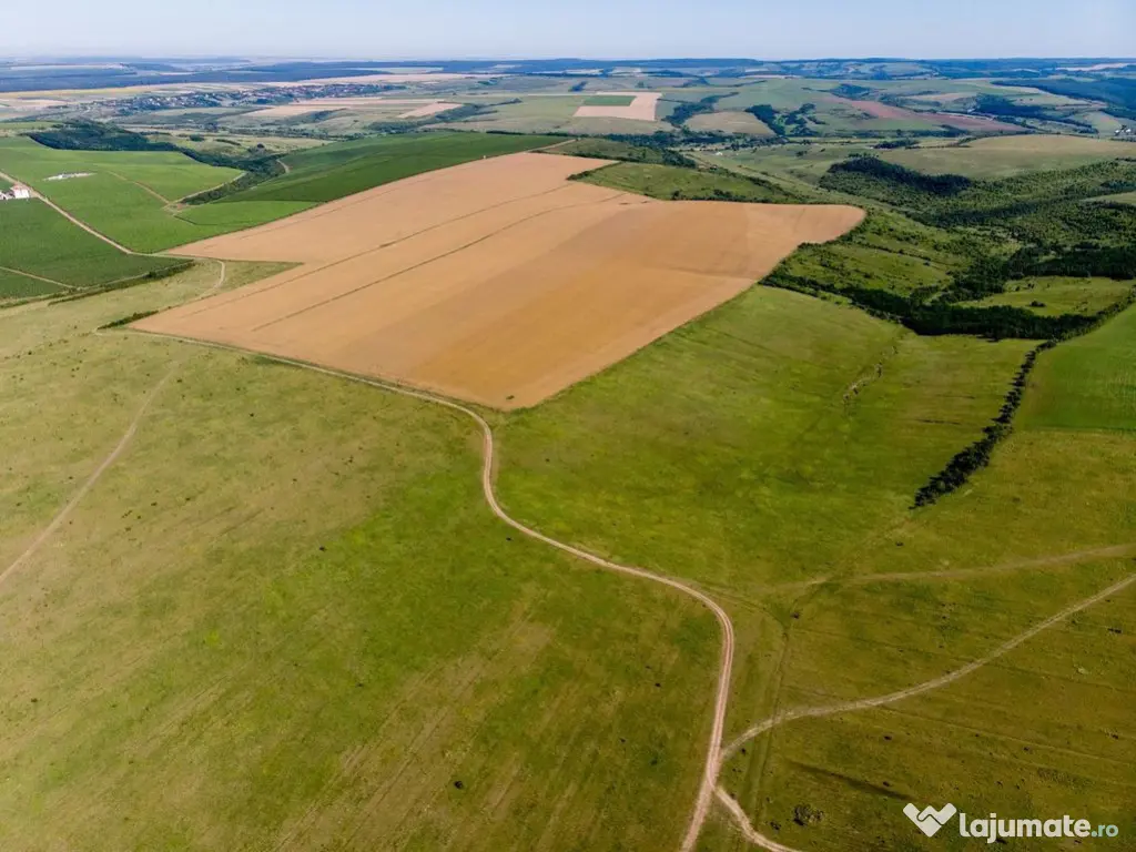 Teren arabil de 62 hectare în Prahova