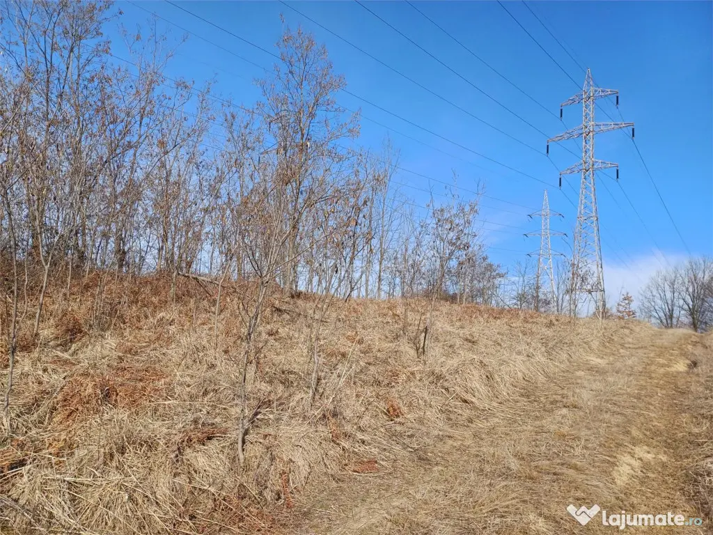 Resita, Teren Extravilan, Pretabil pentru Fotovoltaice, 1726 