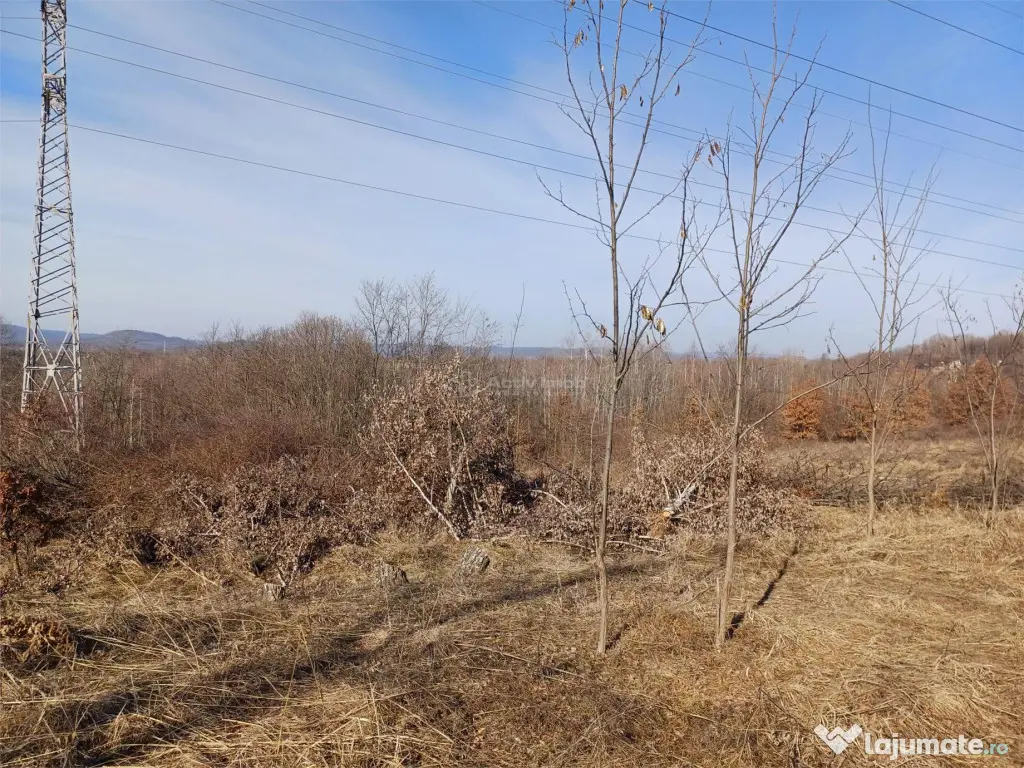 Resita, Teren Extravilan, Pretabil pentru Fotovoltaice, 1726 