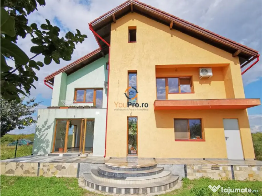 Vila Deosebita Rudicica